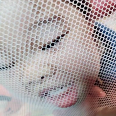 しいま太郎さんのプロフィール画像