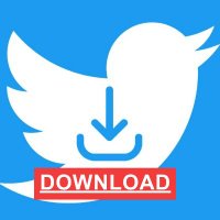 Download Video Bot (@xviddl2) 's Twitter Profile