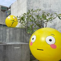 ランド (@auckzard) 's Twitter Profile