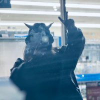 toki (@revivebox_toki) 's Twitter Profile