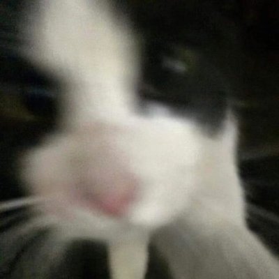 jingxuahh's profile picture. empty