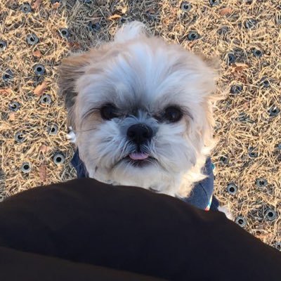nowisleeHJ's profile picture.