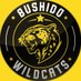 Oyuneks Bushido Wildcats (@bushidowildcats) Twitter profile photo Oyuneks Bushido Wildcats (@bushidowildcats) Twitter profile photo