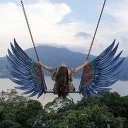 CreckoosDPB's profile picture. 