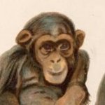 worm.... #GO_APE (@baldrobot) 's Twitter Profile