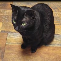 Earl S. (@earl1974_1957) 's Twitter Profile Photo