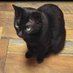 Earl S. (@earl1974_1957) Twitter profile photo Earl S. (@earl1974_1957) Twitter profile photo