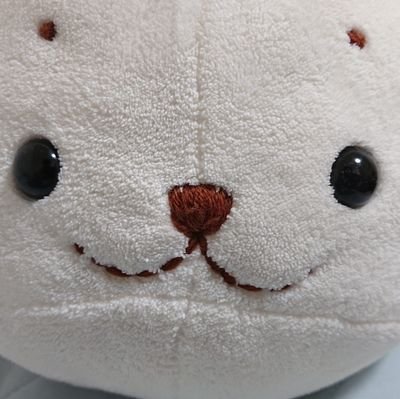 事務総長さんのプロフィール画像