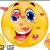 crabandcornsoup (@dinglemega20387) 's Twitter Profile