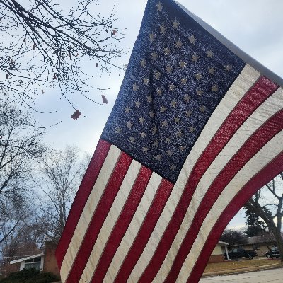 TdBrogan's profile picture. America First, common sense Conservative.  MAGA.  MAHA.  DOGE.  Zero tolerance for corruption.  Allergic to Far Left stupidity.
