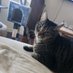 mamacat (@rizzo_nee) Twitter profile photo mamacat (@rizzo_nee) Twitter profile photo