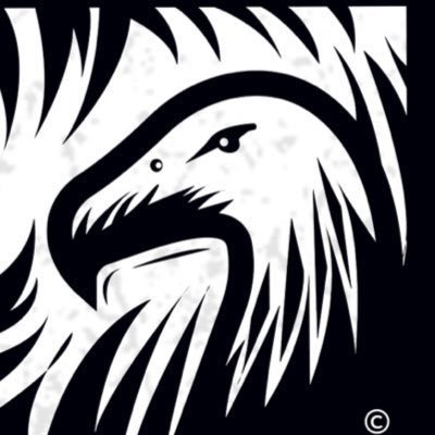 long term options trader, here to share my knowledge and show the ups and the downs of a full time trader. I AM NOT A FINANCIAL ADVISOR DO TRADE ANYTHING