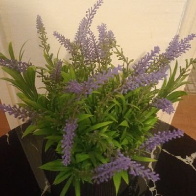 Nivvv80235's profile picture. 