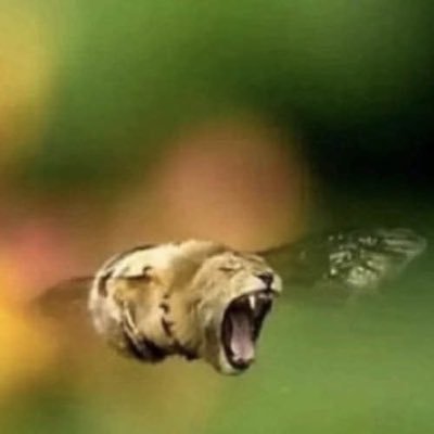 ZephIsBound's profile picture. Nothing much here. scripter and tester and somewhat modeller!   very rarely am I ever on here