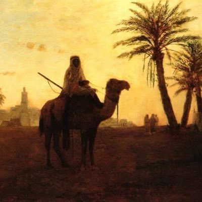 drraakk9's profile picture. درّاك الافضل