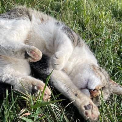 DFWpoolboy's profile picture. 