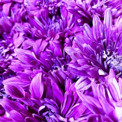 ynbrbnb's profile picture. #XRP #XRPL #xumm