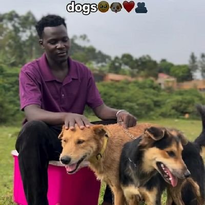 Mkjdogsshelter's profile picture. Hello dear friends am calling upon your support to help build a better shelter you can donate anything you can like $10Will be highly thanked may God bless you
