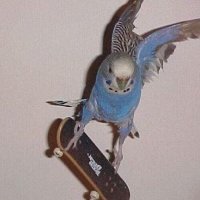 Storm (@storrm425) 's Twitter Profile