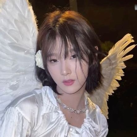 lchaestival's profile picture. de tempos em tempos prendem um izone;
fan account