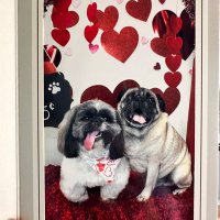 Dylan Winzer (@winzerdylan) 's Twitter Profile