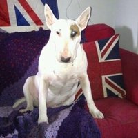 matt black (@mattbla66079059) 's Twitter Profile