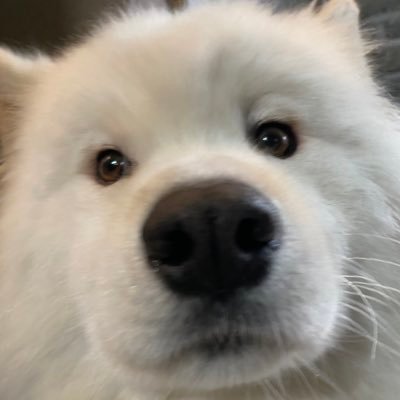kkaaii_ii's profile picture. || KDN🐶 || OSW🐱 || 💜1025💛 || #รีวิวของไข่ไข่ #ไข่ไข่อัพเดต ||