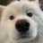 kkaaii_ii's profile image