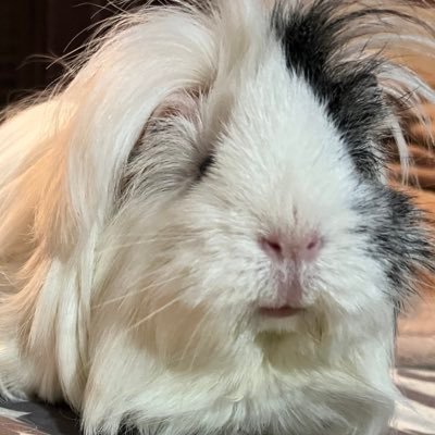 PHQ420's profile picture. This page belongs to a guy on the internet that makes unnecessary comments on random posts.