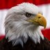 Freedom Forever (@freedomfor9269) Twitter profile photo Freedom Forever (@freedomfor9269) Twitter profile photo