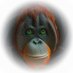 MAYUdrops NFTs/ NFTNYC2025 (@nftnyc20257208) Twitter profile photo MAYUdrops NFTs/ NFTNYC2025 (@nftnyc20257208) Twitter profile photo
