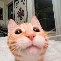 atanacakins (@atanacak657) Twitter profile photo