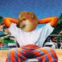 Sheep (@0xkillthesheep) 's Twitter Profile