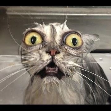 adrian_wil36909's profile picture. Be the best you can be.