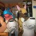 SqueakLovingPup (@squeaklovingpup) Twitter profile photo SqueakLovingPup (@squeaklovingpup) Twitter profile photo