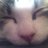 lollyann's profile image
