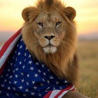 LionOfLiberty🇺🇸🇺🇸 (@dianet2024) 's Twitter Profile