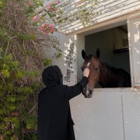 شوق الديحاني🇰🇼 (@mansyh80) 's Twitter Profile Photo شوق الديحاني🇰🇼 (@mansyh80) 's Twitter Profile Photo
