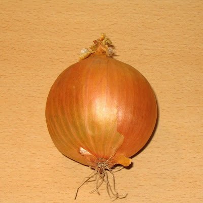 SpiderRiftYT's profile picture. I am Devolper and Clothing Designer.