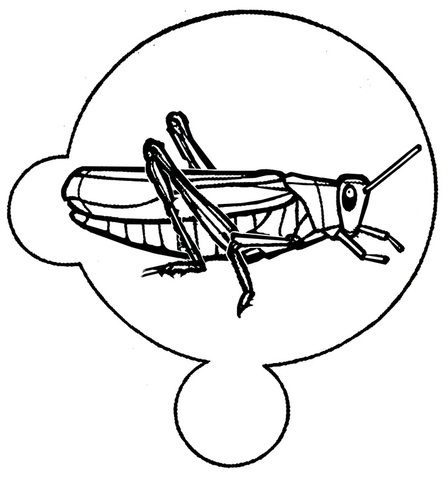 Shadow of the Locust