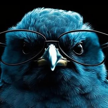 KeybordWarrioRr's profile picture. yeap