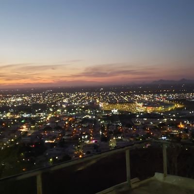 Rodrigo41863663's profile picture. 