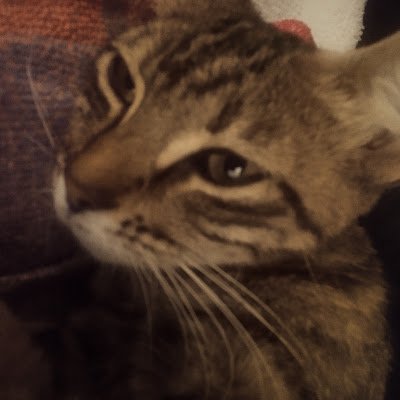 WickedSalty228's profile picture. 