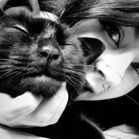 meow.𖦹 (@blu_etooth_) 's Twitter Profile