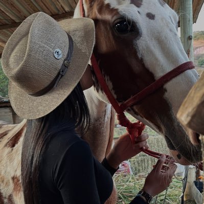alegria de pobre dura pouco
