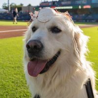 Nick Mears for Closer 2025 (@diychemtrails) 's Twitter Profile Photo Nick Mears for Closer 2025 (@diychemtrails) 's Twitter Profile Photo