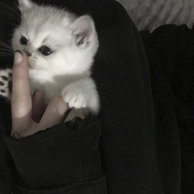 ☪︎さんのプロフィール画像