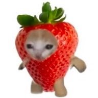Berry058464071's profile picture. 