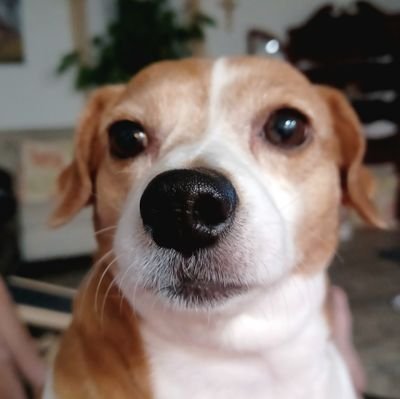 44sjs1's profile picture. America first 
MAGA/MAHA
Who killed Charlie Kirk?
NO DM or I BLOCK YOU