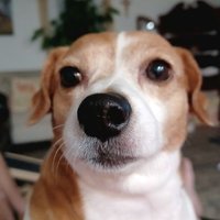 44sjs (@44sjs1) 's Twitter Profile